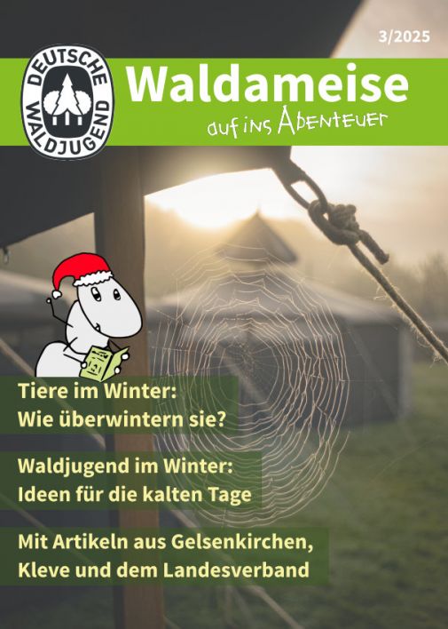 Titelbild Waldameise 2025-3