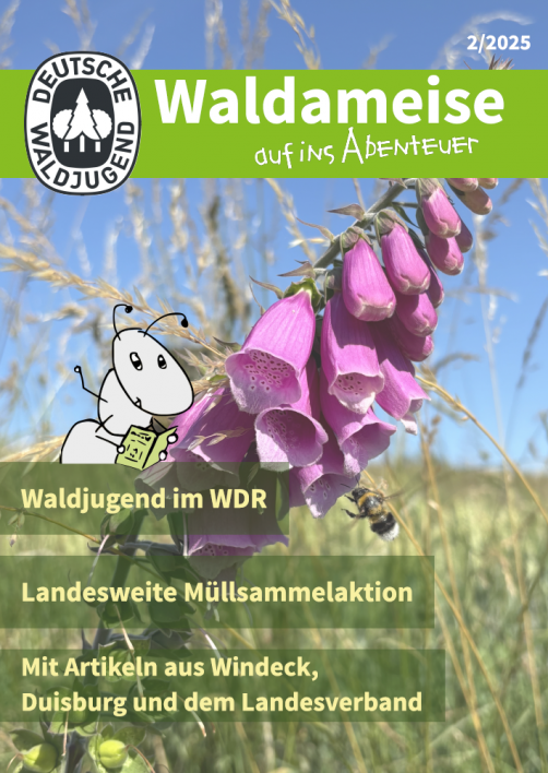 Titelbild Waldameise 2025-1